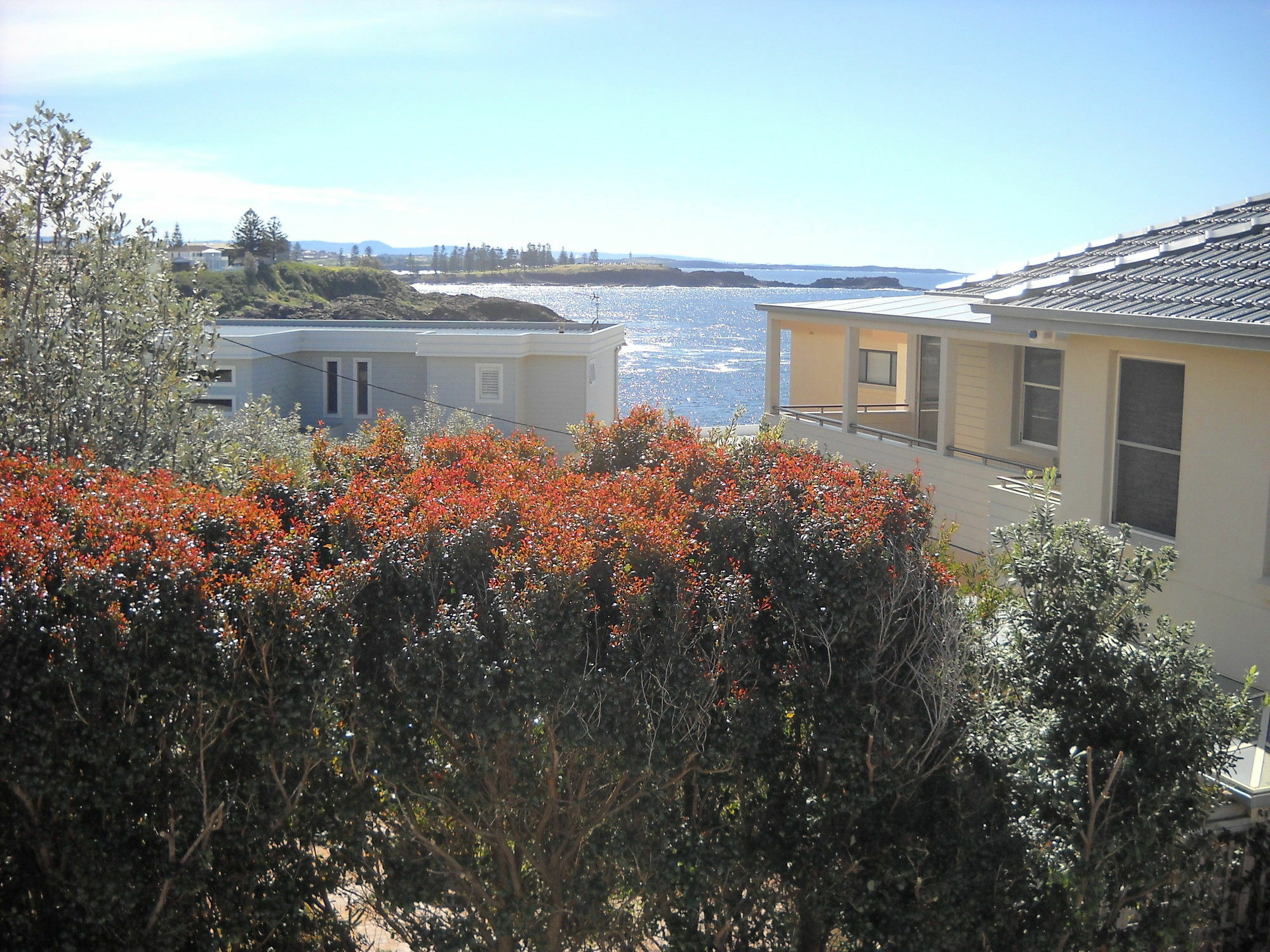 Shutters By The Sea Kiama-Sea Views-Waterfront-Private On Coastal Walk Кіама Екстер'єр фото